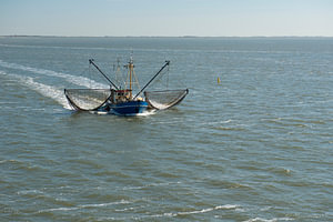 Nederlandse vissersboot