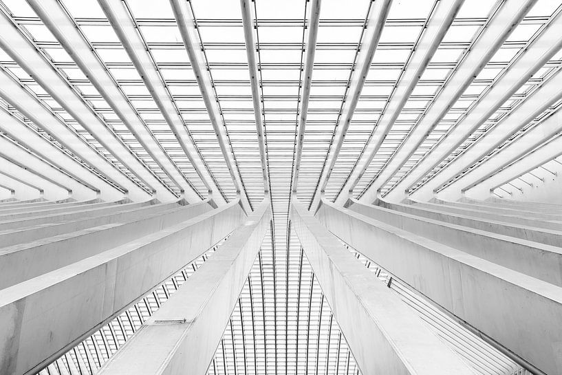 Station Luik van Steven Dijkshoorn