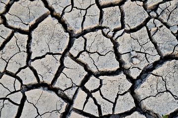 Cracked ground by Marieke van der Hoek-Vijfvinkel