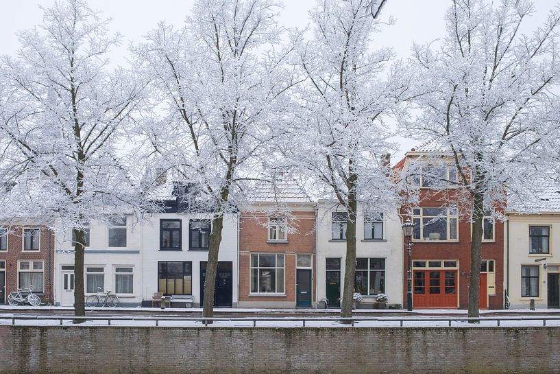 Huizen aan de Burgel gracht in Kampen met berijpte bomen in de voorgrond van Sjoerd van der Wal Fotografie
