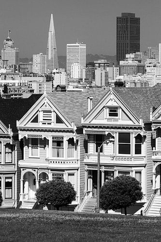 Painted Ladies in Zwart-Wit, San Francisco, Californië