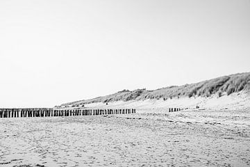 Plage Minimalisme en noir et blanc Paysage