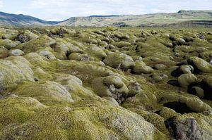 Lava mosvelden in IJsland van Tim Vlielander