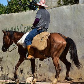 Cubanse boer op dravend paard, portret van Jutta Klassen
