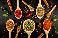 Herbs and spices with wooden ladles by Carola Schellekens thumbnail