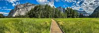 Groene weide in Yosemite National Park