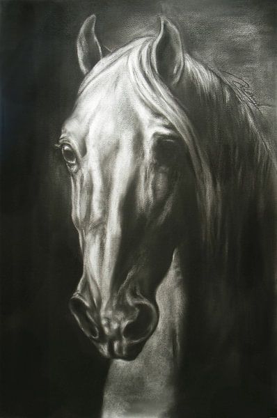 Romanov by Paula Collewijn