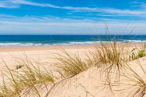 Sandstrand mit Dünengras West Algarve Portugal