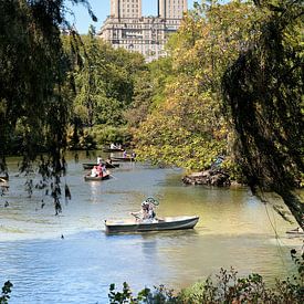 Nostalgische duiker in Central Park, New York van Arie Storm