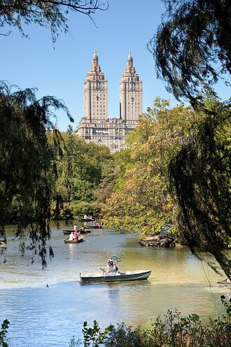 Nostalgische duiker in Central Park, New York van Arie Storm