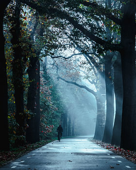 Rayons de soleil en automne