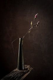 Minimalistische Magnolie von Hille Monster