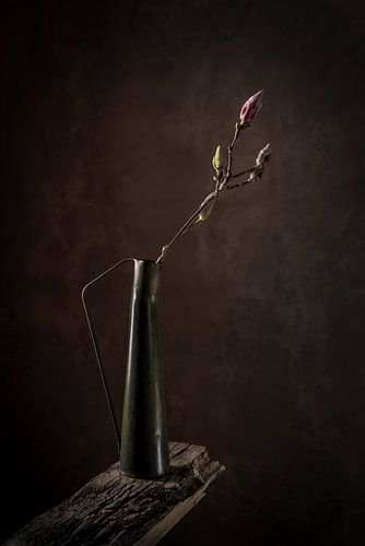 Minimalistic Magnolia