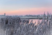 Zonsopgang op een winterse dag