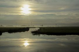 Sonnenaufgang in Nordholland Busch und Damm von Liesbeth Vogelzang