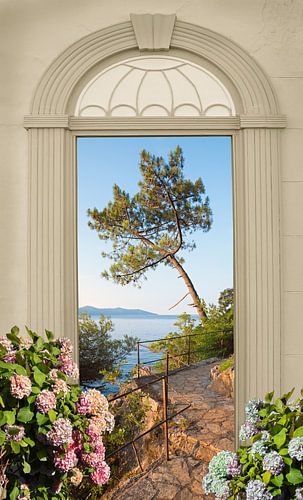 Boog met uitzicht op de Kroatische kust en bloeiende hortensia's