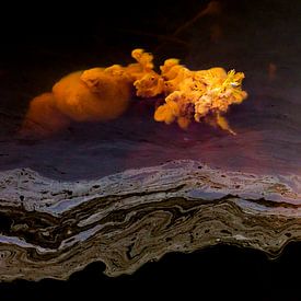 Wonderen in de sloot, Eruptie van een vulkaan van algen. Terheijden, afbeelding vulkaan van Ad Huijben