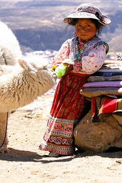 Meisje met alpaca  van Gert-Jan Siesling