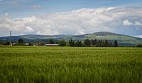 Taunus