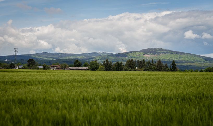 Taunus by Freedom Streaming Photography