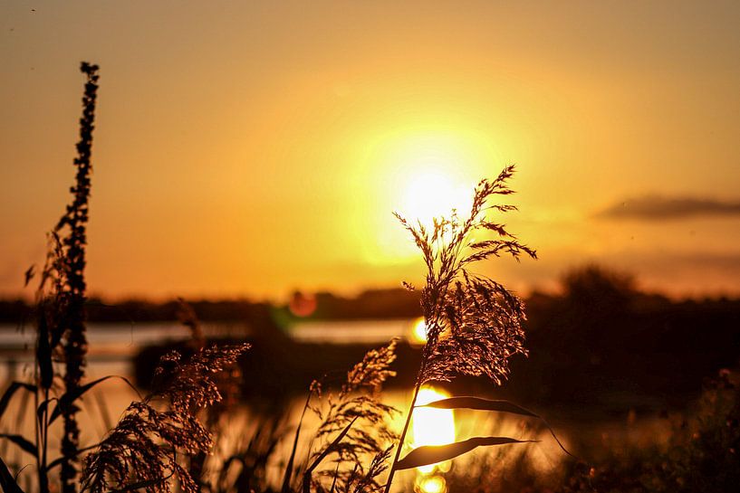 Sunset at 't Roegwold by Charlotte Gohl