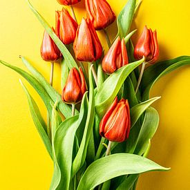 Orange tulips on yellow background by Iryna Melnyk