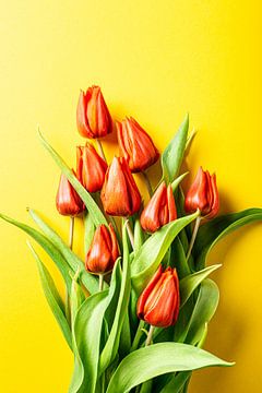 Orangefarbene Tulpen auf gelbem Hintergrund von Iryna Melnyk