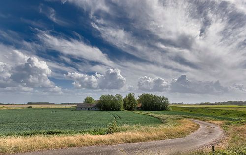Landscape Zeeuws-Vlaanderen