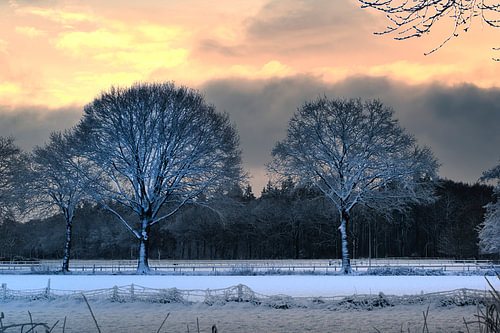Winter in Diepenveen 1
