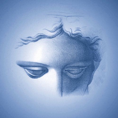 Vrouwelijkheid een portret in blauw