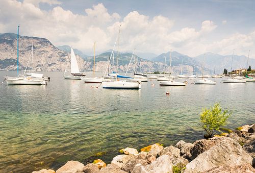 Zeilboten op het Gardameer in Torbole