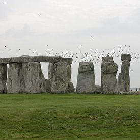 Stonehenge von Erika Zollner