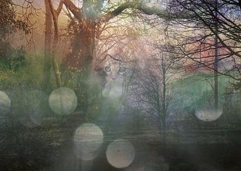 Het katje in het herfstbos