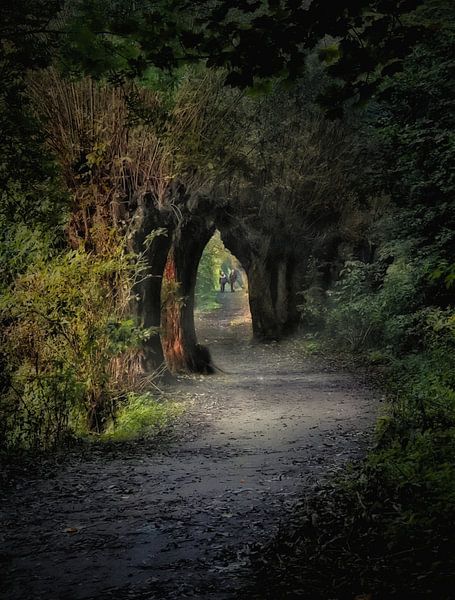 The illuminated path by Maickel Dedeken