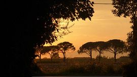 Toscane  sur Yvette Lubbers