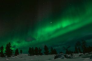 Aurore boréale en Laponie finlandaise || Cercle arctique, Finlande sur Suzanne Spijkers