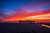 Vuurrode zonsopgang in de polder van Ton de Koning thumbnail