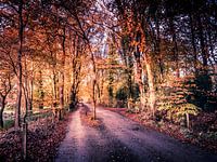 Oude weg tussen Naarden en Huizen