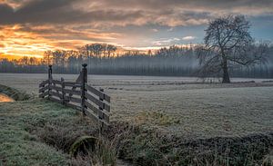 een koude start