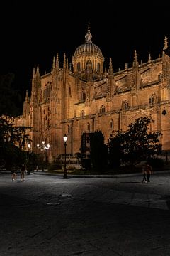 Nieuwe kathedraal Salamanca van Leticia Spruyt