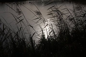 Darkness of the water van Novaii Emery