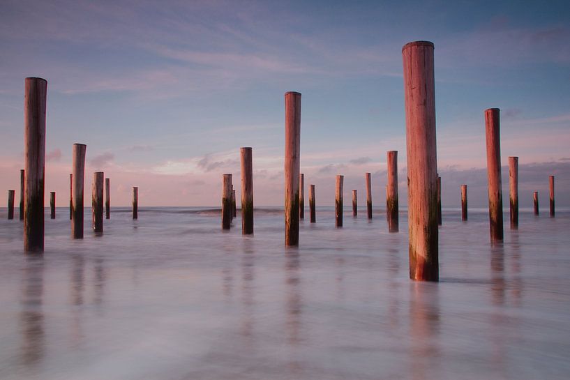 Palendorp Petten by Cor Oosterbeek