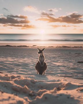 Zicht op een kangoeroe bij zonsondergang van fernlichtsicht