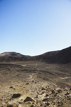 Tongariro Crossing: Marslandschap op Aarde van Ken Tempelers