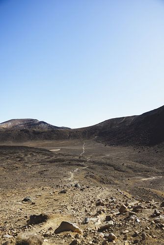 Tongariro Crossing: Marslandschap op Aarde