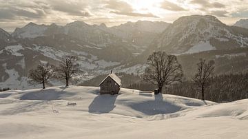 Winterochtend op de Pfiiffegg, Kanton Schwyz van Pascal Sigrist - Landscape Photography