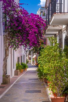steegje in Marbella van Voss fotografie