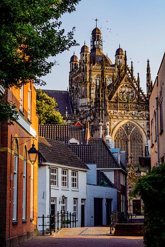 In the Farmers Sleeve