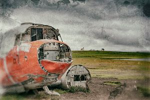 Flugzeugwrack im Nordosten von Island. von Ron van der Stappen