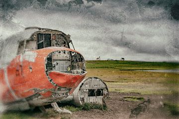 Vliegtuigwrak Douglas DC 3 in het noord oosten van IJsland. van Ron van der Stappen